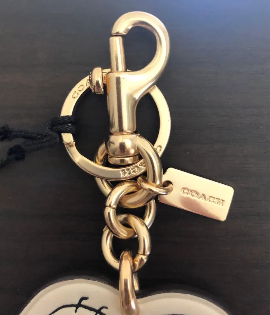 New COACH x PEANUTS Snoopy Bag Charm Keychain NEW FS | eBay