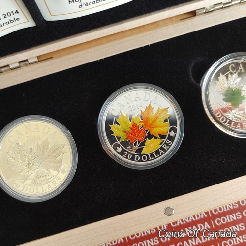 2014 Canada $20 Majestic Maple Leaves 3 Coin Set w/ Wood Box #coinsofcanada - Picture 3 of 11
