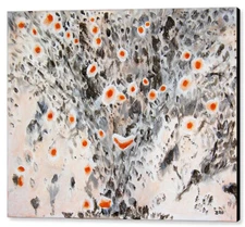 Desert in Bloom, 40"x50", Canvas Print