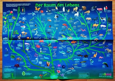 Wissens-Poster BAUM DES LEBENS Charles Darwin Evolution Vererbung Medizini 01.22