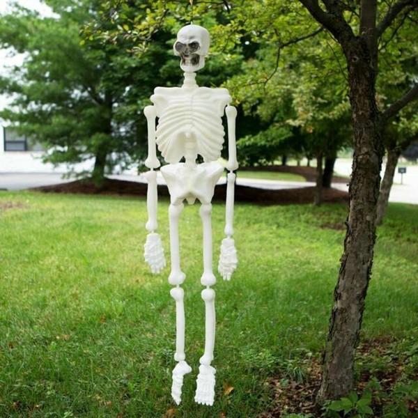 DDI 574529 5ft Glow in The Dark Plastic Skeleton for sale online eBay