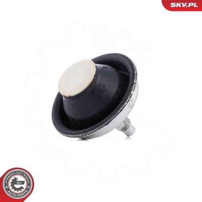 ESEN SKV 75SKV101 Lagerung, Motor für PEUGEOT