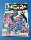Amazing Spider-man #204 Bronze age Newsstand Black Cat VG+ Wow