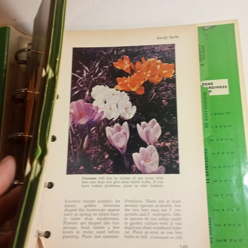 VINTAGE BETTER HOMES AND GARDENS BOOK 1968 PLANTS GARDENING LANDSCAPE FLOWERS - Picture 5 of 9