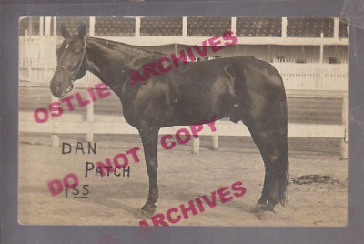 Minnesota RPPC c1910 DAN PATCH Prize HARNESS RACER Racing Horse PACER Champion