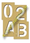 Bristol Stencil With Numbers Letters Custom Carved 5cm