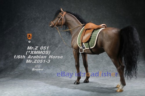Estatua de caballo árabe Mr.Z modelo animal 1/6 équidos árabes corcel pintada de coleccionista - Imagen 22 de 29