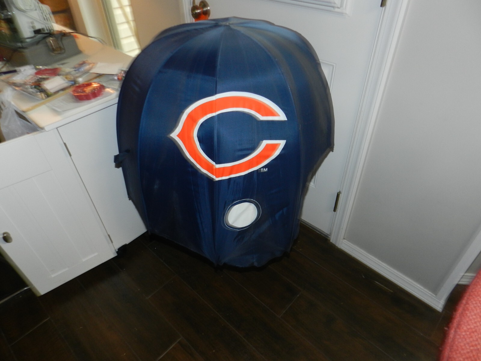 Picture 1 of 16