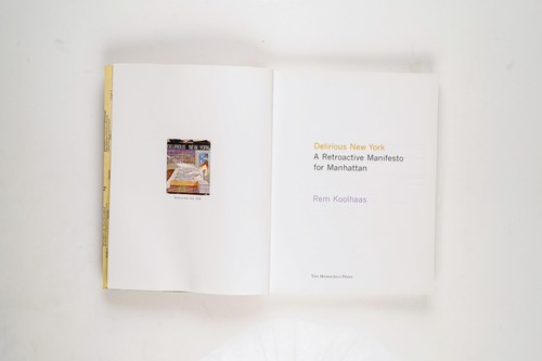 Delirious New York: A Retroactive Manifesto for Manhattan by Rem Koolhaas 1994 - Foto 3 di 10