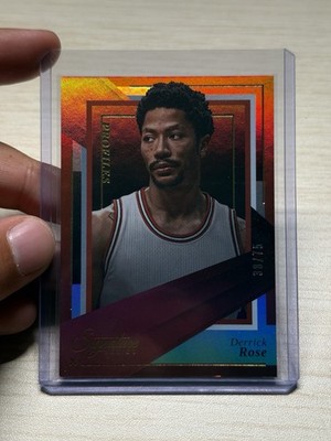 Panini Signature Series Profiles Derrick Rose #16 Chicago Bulls /75 Insert