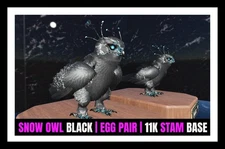 ARK Survival Ascended PvE SNOW OWL NEW TOP 11K STAM BASE PC/XBOX/PS5 ASA