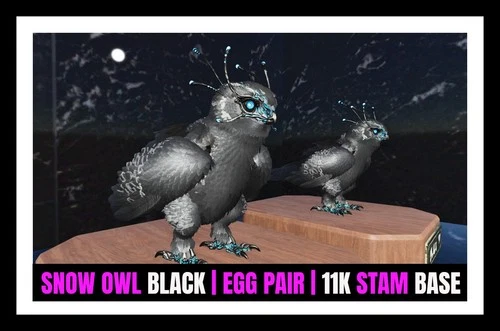 ARK Survival Ascended PvE SNOW OWL NEW TOP 11K STAM BASE PC/XBOX/PS5 ASA