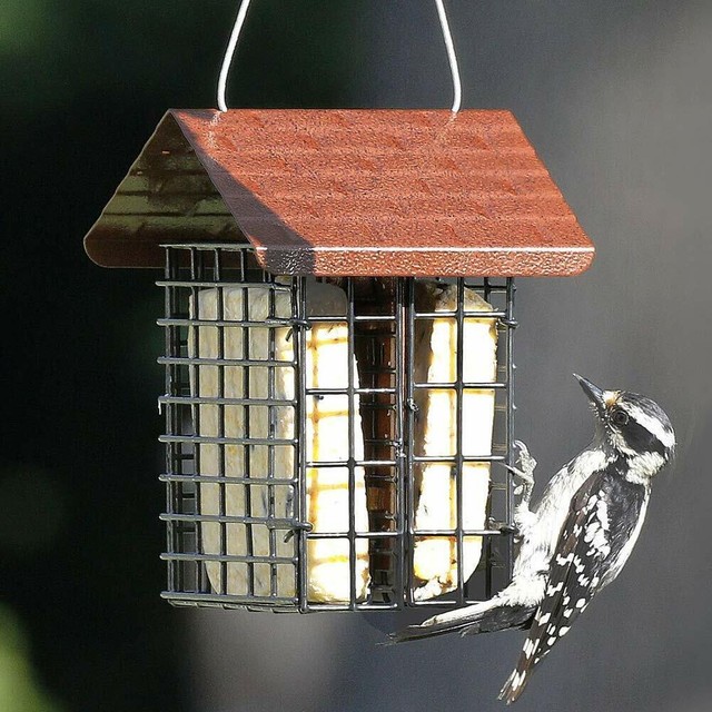 Stokes Select Two Seed Cakes Suet Bird Feeder Buffet With Weather