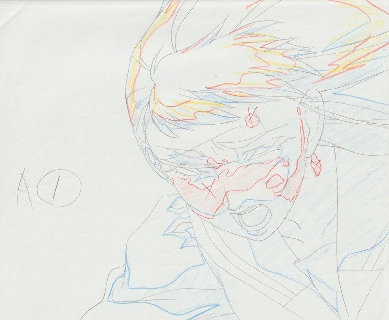 The Twelve Kingdoms Juuni Kokki Genga Douga Original Sketches Pierrot - Youko
