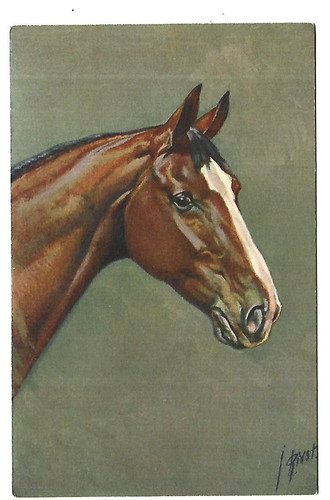 Signed Illustration Horse