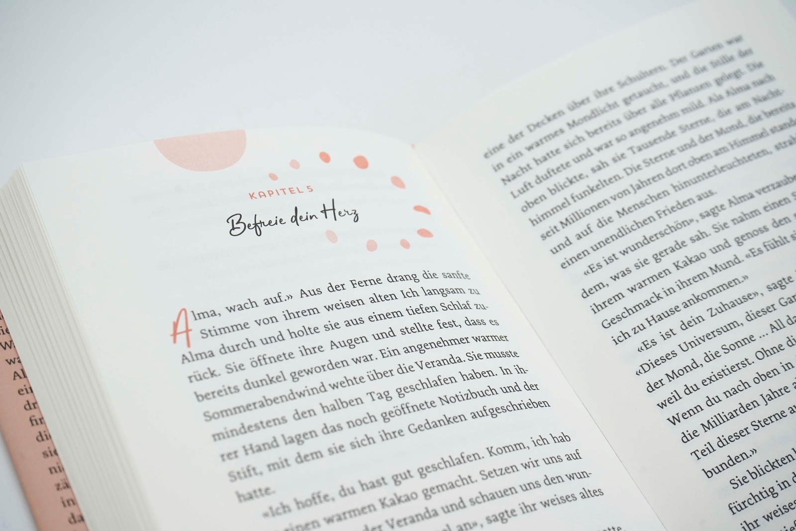 Thumbnail - Zurück Zu Mir Eine Heilende Begegnung Laura Malina Seiler Buch 192 S.