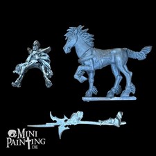 Warhammer Dunkelelfen Schwarz Reiter Kommand Metal Kunststoffe GW Citadel