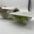 Picture 1 of 4