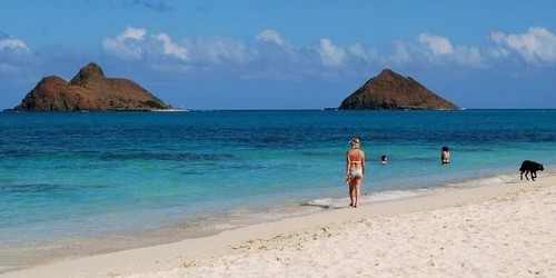 Inpaint Version 9 - Freistellen - Objekte entfernen - Download   - Bild 7 von 9