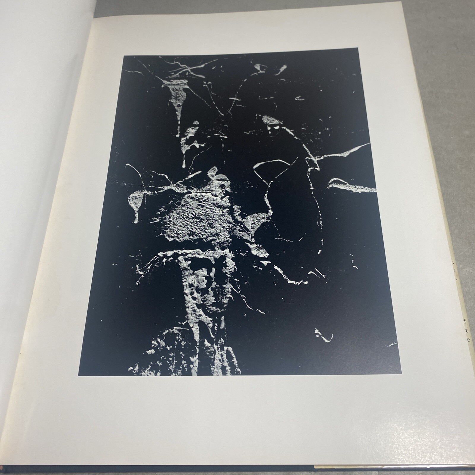 Picture 7 of 12