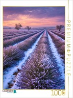 Puzzle Calvendo La Lavande Dans La LumièRe Hivernale | 1000 PièCes, Format Assem