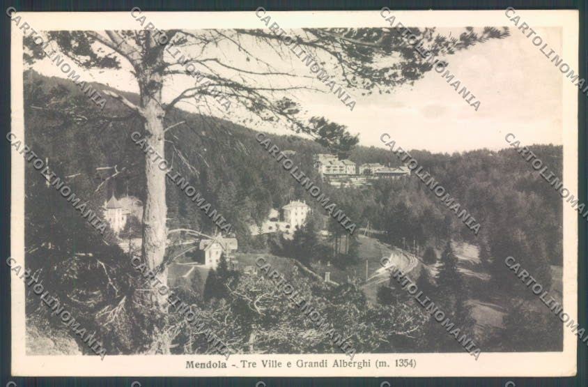 Trento Passo della Mendola cartolina ZB0979