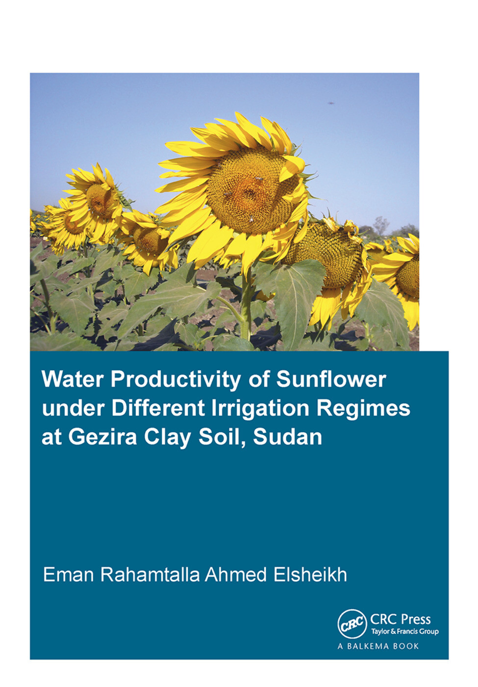 Water Productivity of Sunflower under Different Irrigation Regimes at Gezira ...