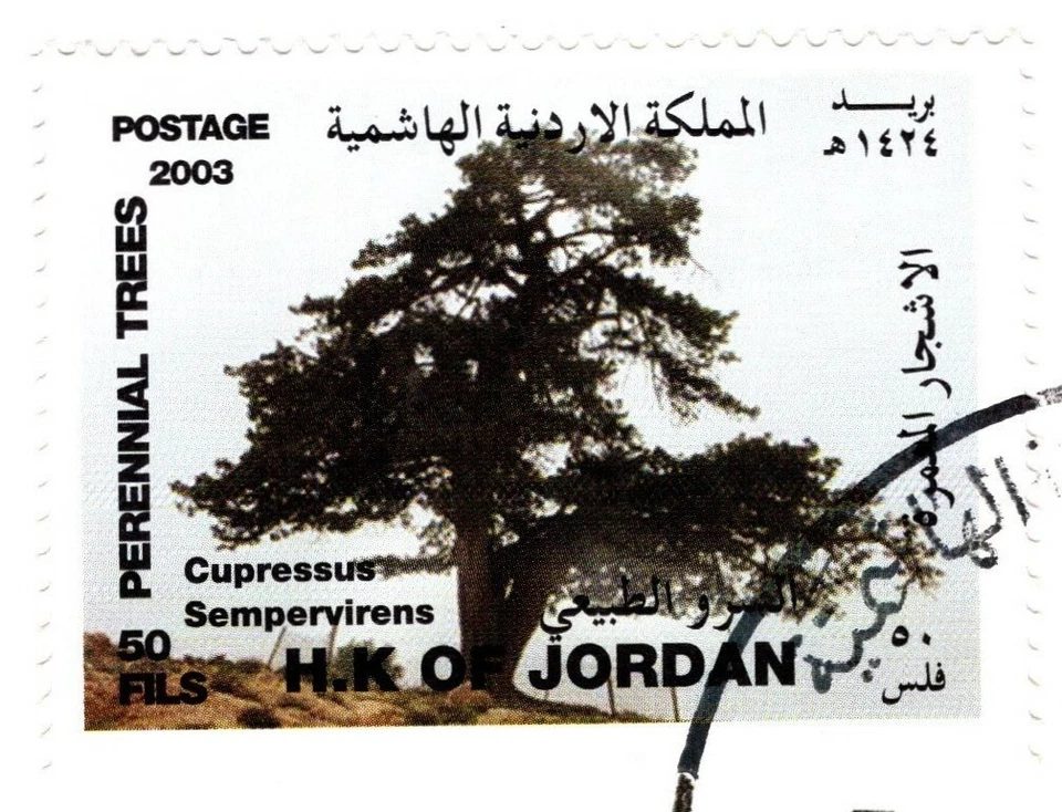 JORDAN 2003 ÁRBOLES PERENNES EN JORDAN PRIMER DÍA CUBIERTA 3 SELLOS CONJUNTO ALTO EN VALOR Foto 2 de 4