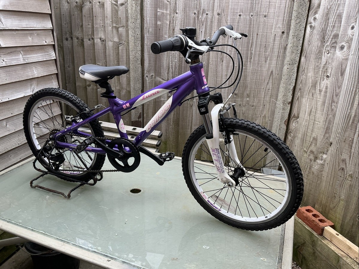 Carrera Mountain Bike Carrera Luna Purple Carrera Luna Childs