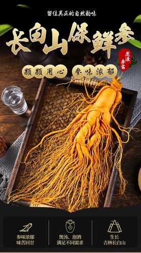 1pc Large Fresh Preserved Changbai Mountain Ginseng - 9-Year-Old Root - Picture 7 of 17