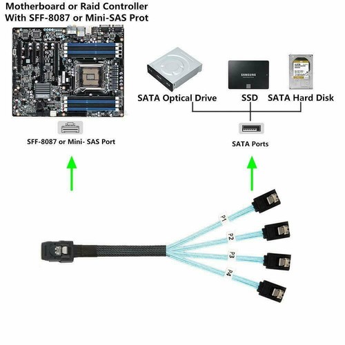 50CM MINI SAS 36P SFF-8087 zu 4x SATA 7Pin Zielfestplatten Datensplitterkabel DE - Photo 8/10