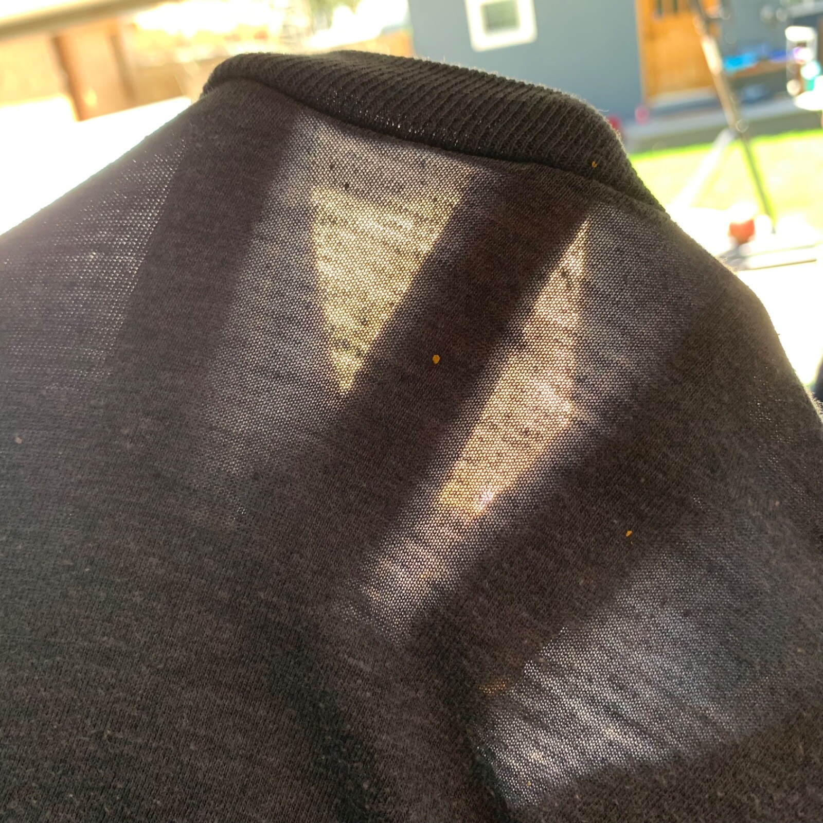 Picture 15 of 16