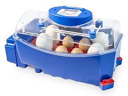 Borotto Lumia 8 Automatic Chicken / Poultry Egg Incubator - Picture 1 of 1