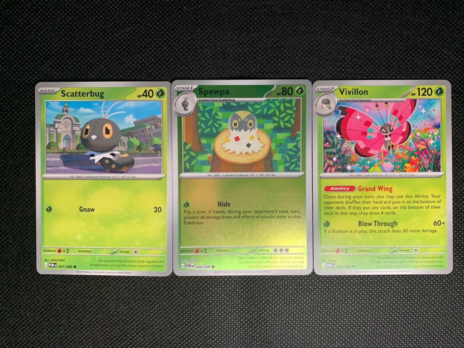 Pokemon Perfect Order Set  Scatterbug 7 (C), Spewpa 8 (C/RH), Vivillon 9 (UC)