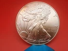 2013 American Silver Eagle 1 Ounce Brilliant Uncirculated Beautiful!