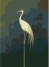 Paint by Numbers Kit for Adults Birds DIY Number Canvas Acrylic Art Decor NEW