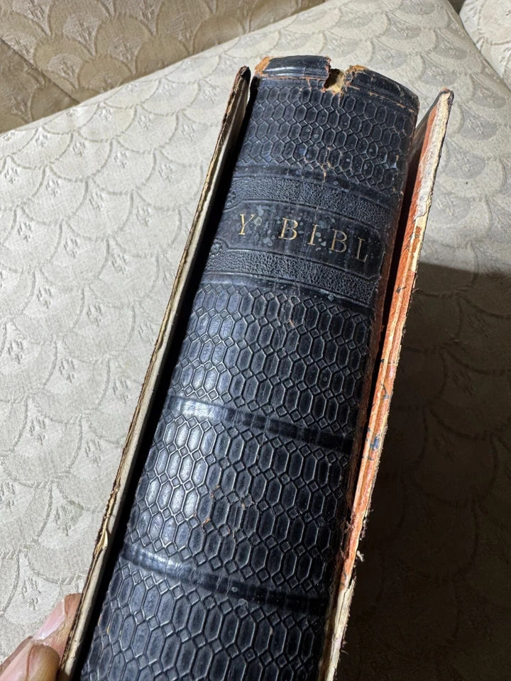 Antique 1875 Y Bibl Cyssegr-Lan, sef Yr Hen Destament a'r Newydd Welsh Bible - Image 3 of 4