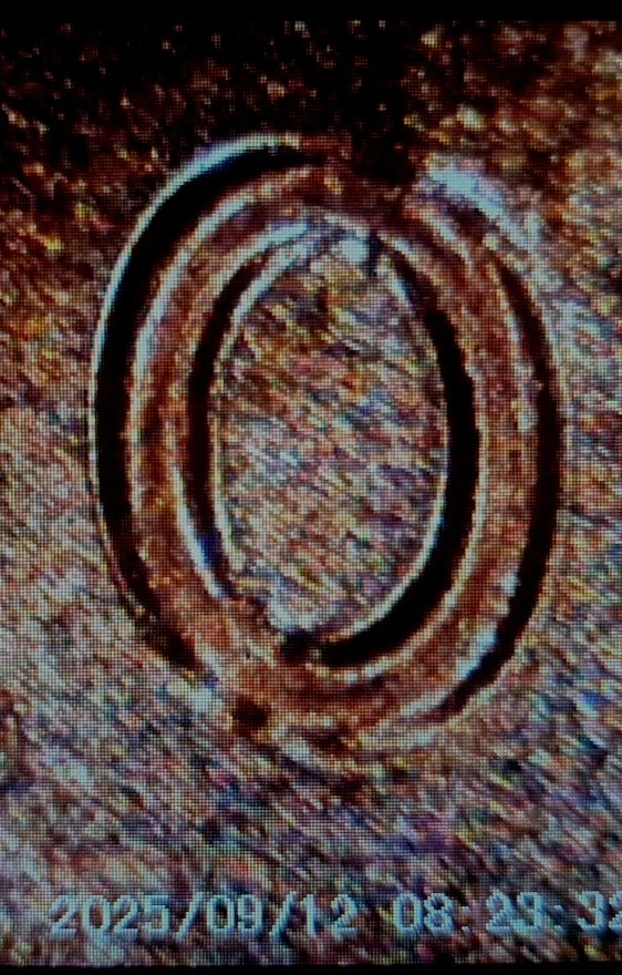 Picture 3 of 16