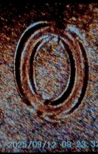 2025 P BU Lincoln Union Shield Cent NICE DOUBLED DATE ~ REVERSE UNC RED RD Penny - Picture 3 of 16