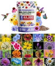 Wildflower Seeds Bulk 4 oz 63,200+ Seeds 19 Varieties Non-GMO Perennial Mix, ... 77.04 per gallon