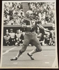Roger Staubach Dallas Cowboys Type l 1970s  Photo  by Malcolm Emmons
