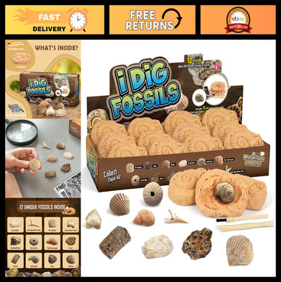 Fossil Dig Kit for Kids 6+ - STEM Science Toys, Dig Up Real Dinosaur Bones & Fos