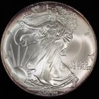 2006 American Silver Eagle $1 Dollar Gem Brilliant Uncirculated Toned. Jrrc-001
