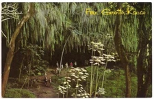 Postcard HI Fern Grotto Along Wailua River Hawaiian Island of Kauai Hawaii c1970