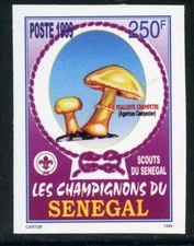 TIMBRE AFRIQUE SENEGAL / NEUF NON DENTELE N° 1427 **  FLORE / CHAMPIGNON