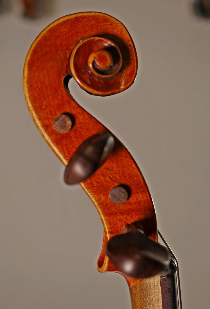 Bohemian Violin 2017年製　4/4 No. 1100 Bohemian Violin 2017年製 4/4 No. 1100