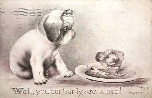 um 1909 Künstler Postkarte - "Nun, du bist sicher ein Vogel" - von: V. Colby ~ #-7725 - Bild 14 von 15