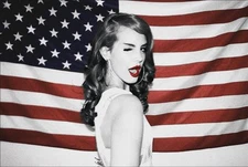 LANA DEL REY FLAG 24X36 POSTER WALL ART AMERICA BEAUTY STAR ARTIST  NEW YORK USA