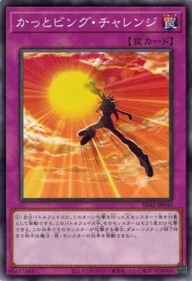 Hi-Five the Sky SD42-JP040 Common Yugioh Japanese NM