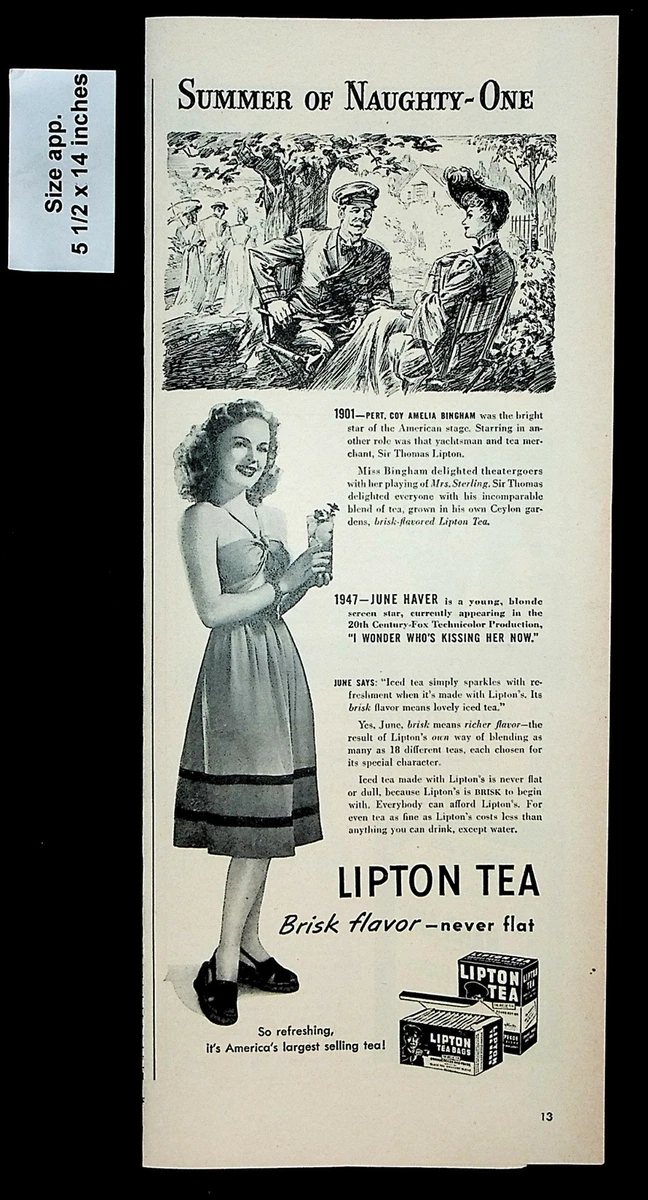 Easy Guide Where is Lipton Tea Grown? 2023 AtOnce
